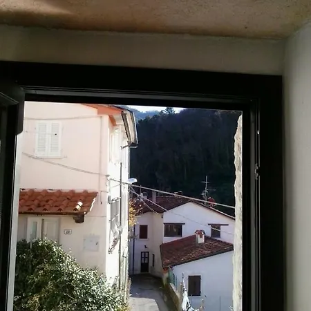 The Castle's Fox Pietrasanta